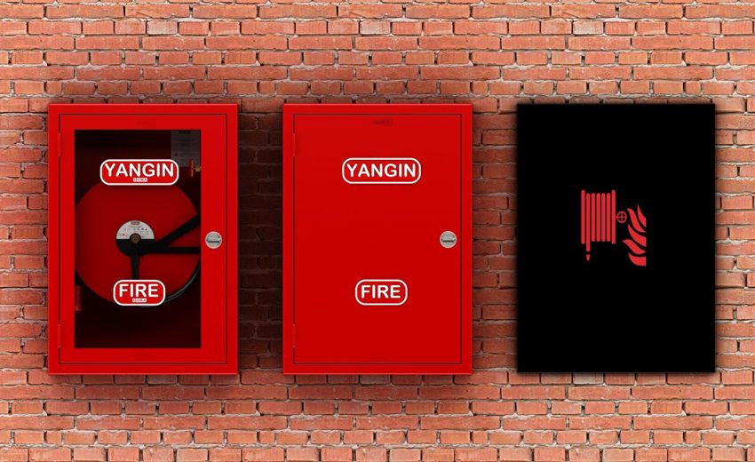 yangindolabi1